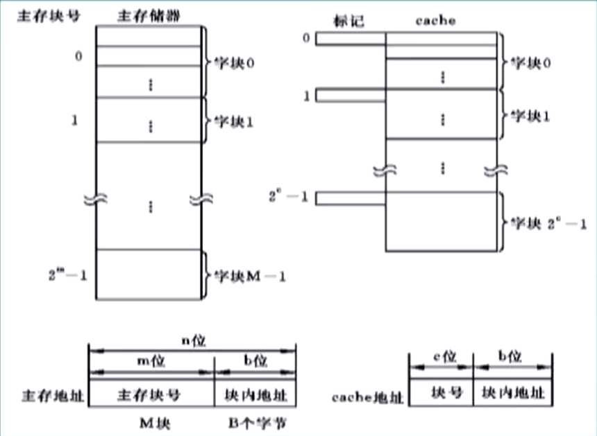 image-20250316231902141